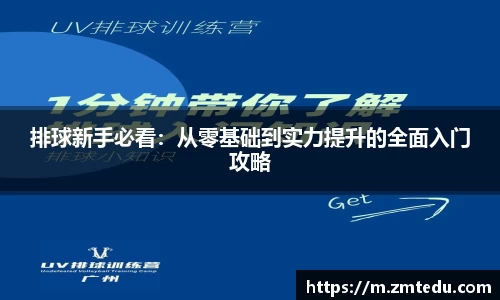排球新手必看：从零基础到实力提升的全面入门攻略