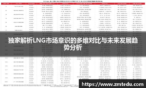独家解析LNG市场意识的多维对比与未来发展趋势分析