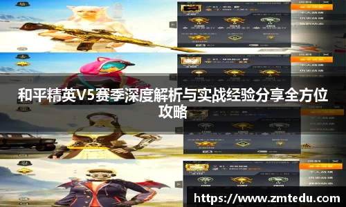 和平精英V5赛季深度解析与实战经验分享全方位攻略
