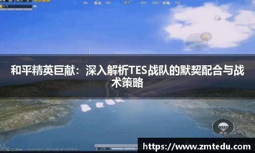 和平精英巨献：深入解析TES战队的默契配合与战术策略