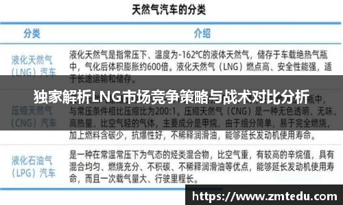 独家解析LNG市场竞争策略与战术对比分析