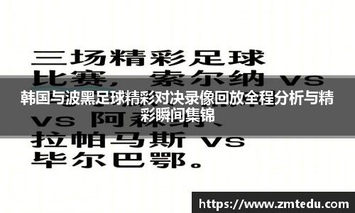 韩国与波黑足球精彩对决录像回放全程分析与精彩瞬间集锦