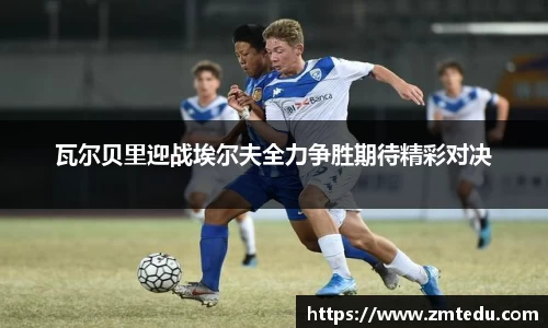 瓦尔贝里迎战埃尔夫全力争胜期待精彩对决